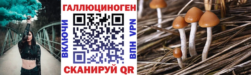 Псилоцибиновые грибы мицелий  Нижняя Тура 